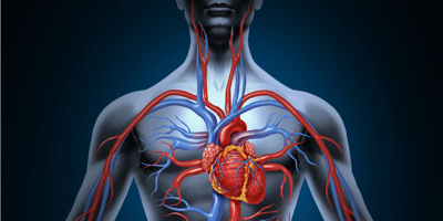 Drenaje Venoso Parcial Anómalo: Una patología cardiaca poco conocida